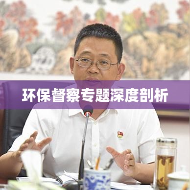 环保督察专题深度剖析
