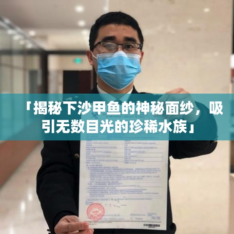 「揭秘下沙甲鱼的神秘面纱,吸引无数目光的珍稀水族」