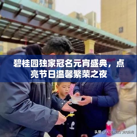 碧桂园独家冠名元宵盛典,点亮节日温馨繁荣之夜