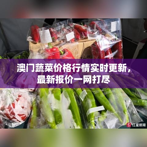 澳门蔬菜价格行情实时更新,最新报价一网打尽