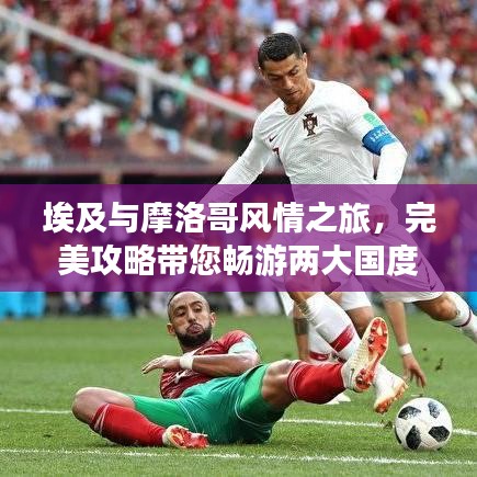 一花独放 第7页