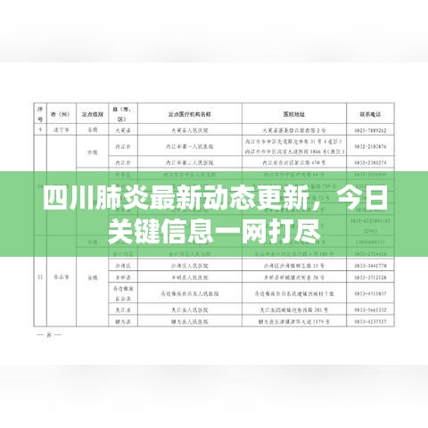 四川肺炎最新动态更新，今日关键信息一网打尽