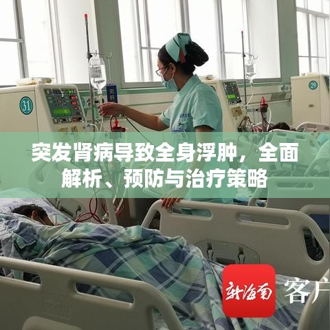 突发肾病导致全身浮肿，全面解析、预防与治疗策略