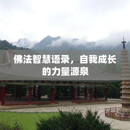 佛法智慧语录,自我成长的力量源泉
