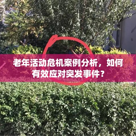 老年活动危机案例分析,如何有效应对突发事件?