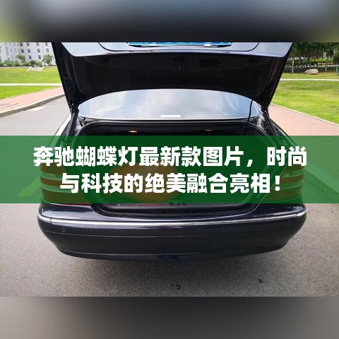 奔驰蝴蝶灯最新款图片，时尚与科技的绝美融合亮相！