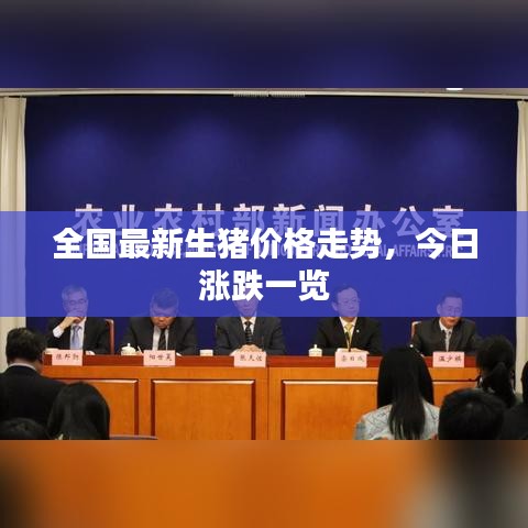 全国最新生猪价格走势,今日涨跌一览