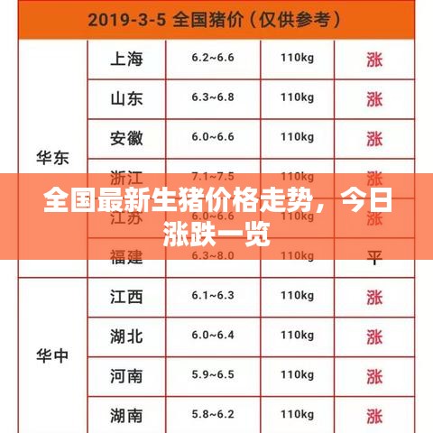 全国最新生猪价格走势,今日涨跌一览