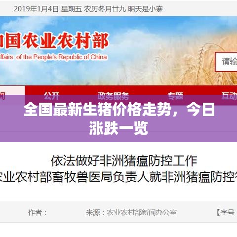 全国最新生猪价格走势,今日涨跌一览