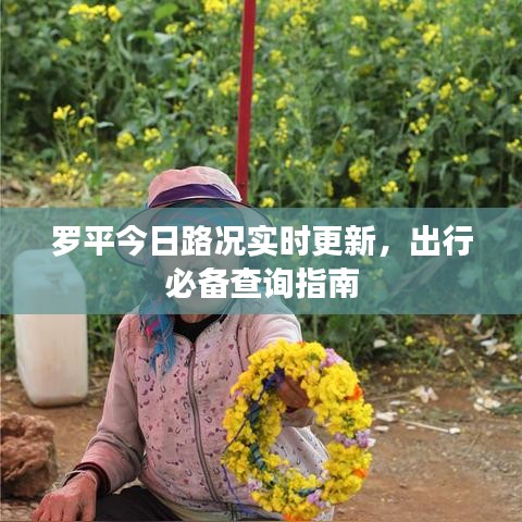 罗平今日路况实时更新,出行必备查询指南