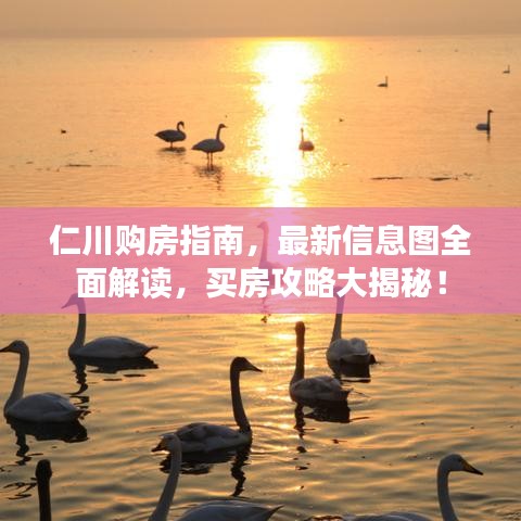 仁川购房指南,最新信息图全面解读,买房攻略大揭秘!