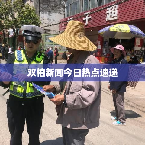 双柏新闻今日热点速递