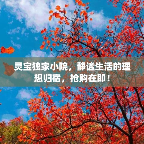 灵宝独家小院,静谧生活的理想归宿,抢购在即!