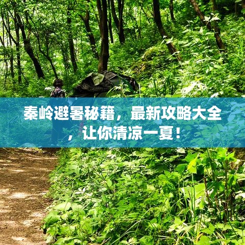 秦岭避暑秘籍，最新攻略大全，让你清凉一夏！