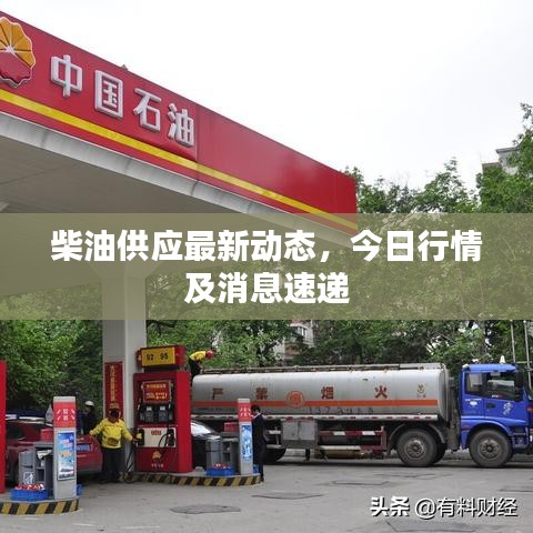 柴油供应最新动态,今日行情及消息速递