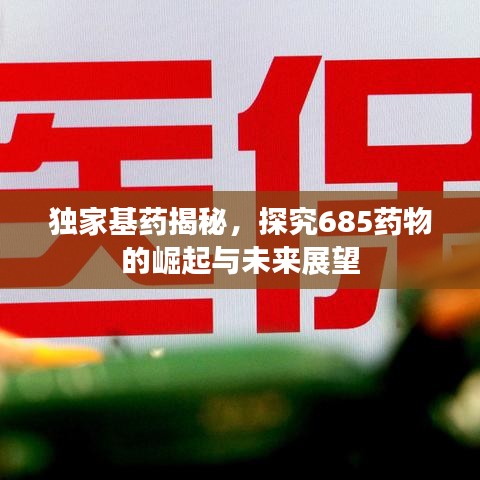 独家基药揭秘，探究685药物的崛起与未来展望