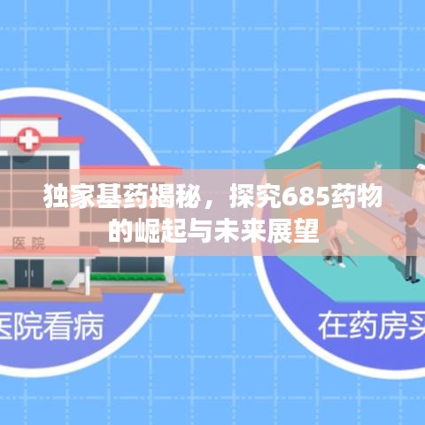 独家基药揭秘,探究685药物的崛起与未来展望