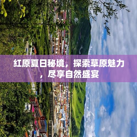 红原夏日秘境,探索草原魅力,尽享自然盛宴