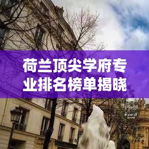 荷兰顶尖学府专业排名榜单揭晓，前十名专业全解析！
