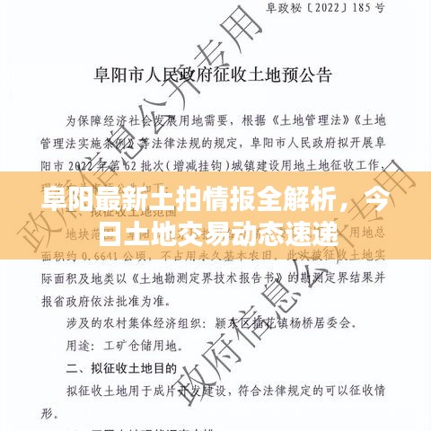 阜阳最新土拍情报全解析，今日土地交易动态速递