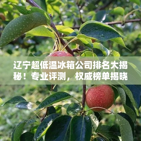 辽宁超低温冰箱公司排名大揭秘！专业评测，权威榜单揭晓！