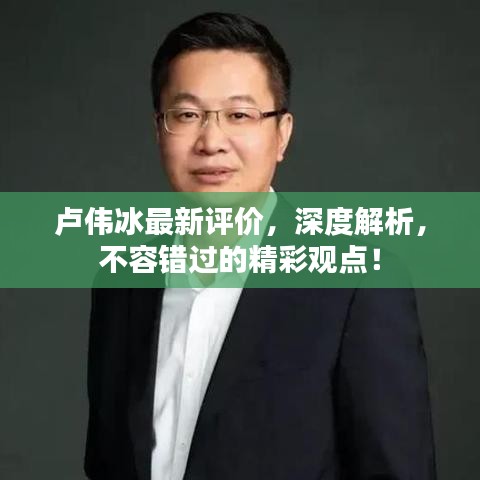 卢伟冰最新评价,深度解析,不容错过的精彩观点!