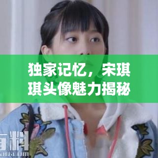 独家记忆，宋琪琪头像魅力揭秘