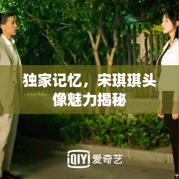 独家记忆,宋琪琪头像魅力揭秘