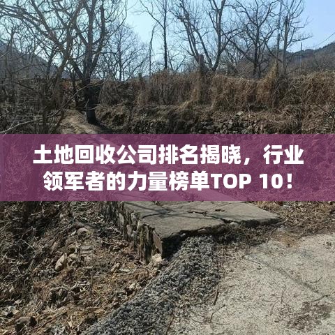 土地回收公司排名揭晓，行业领军者的力量榜单TOP 10！