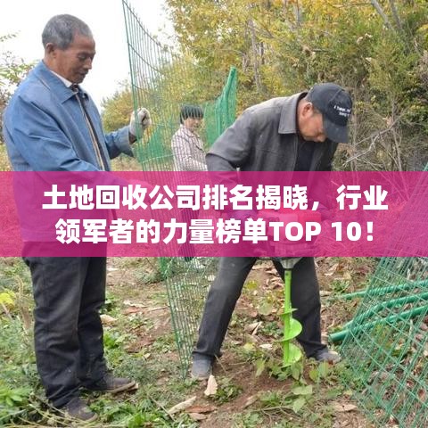 土地回收公司排名揭晓,行业领军者的力量榜单TOP 10!