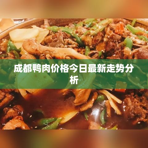 成都鸭肉价格今日最新走势分析