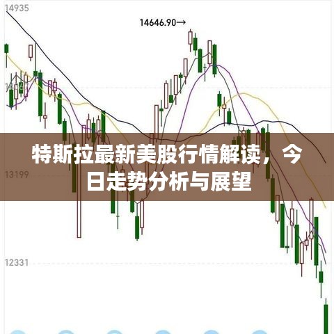 特斯拉最新美股行情解读，今日走势分析与展望