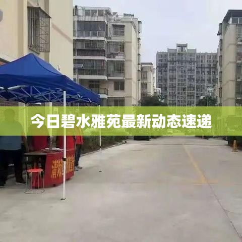 今日碧水雅苑最新动态速递