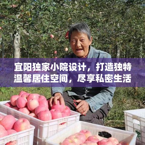 宜阳独家小院设计，打造独特温馨居住空间，尽享私密生活之美
