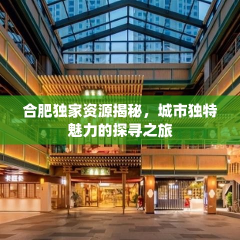 合肥独家资源揭秘，城市独特魅力的探寻之旅