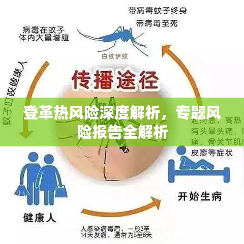 登革热风险深度解析,专题风险报告全解析