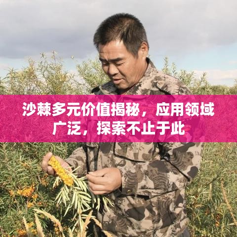 沙棘多元价值揭秘，应用领域广泛，探索不止于此