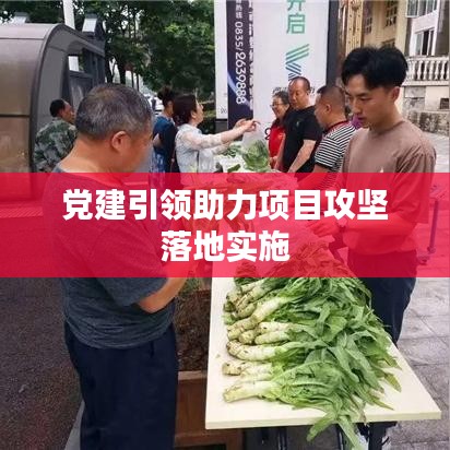 党建引领助力项目攻坚落地实施