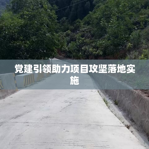 党建引领助力项目攻坚落地实施