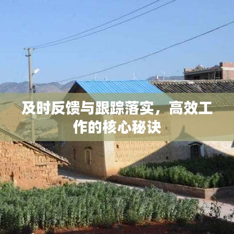 及时反馈与跟踪落实,高效工作的核心秘诀