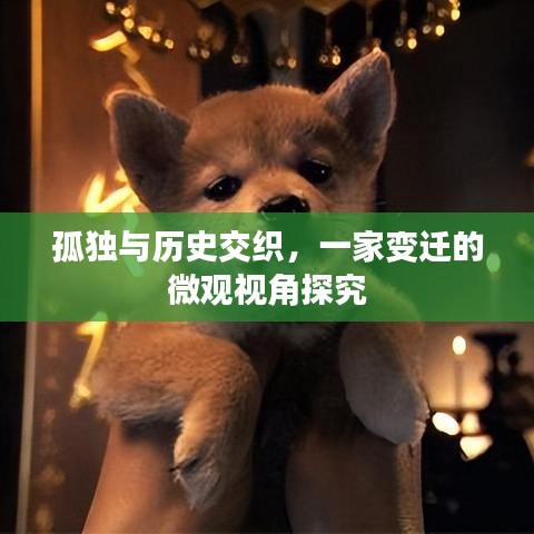 孤独与历史交织，一家变迁的微观视角探究