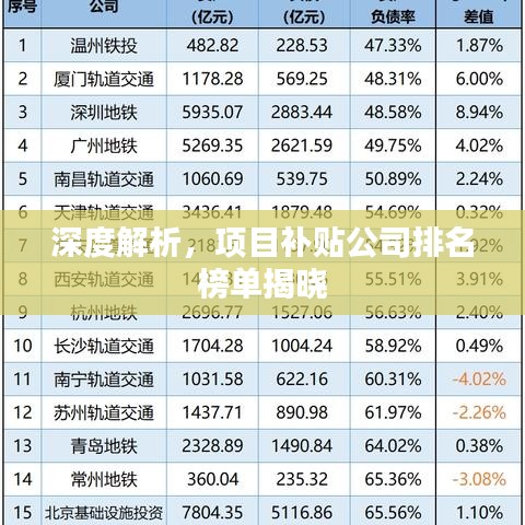 深度解析,项目补贴公司排名榜单揭晓