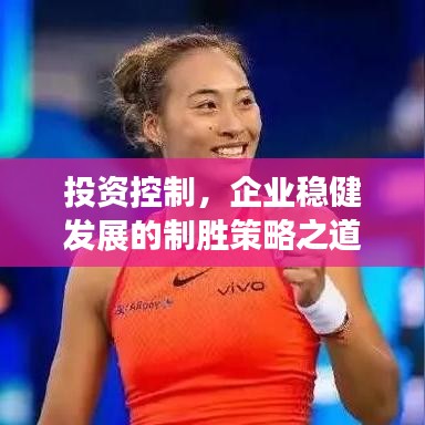 投资控制，企业稳健发展的制胜策略之道