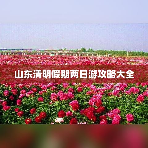山东清明假期两日游攻略大全