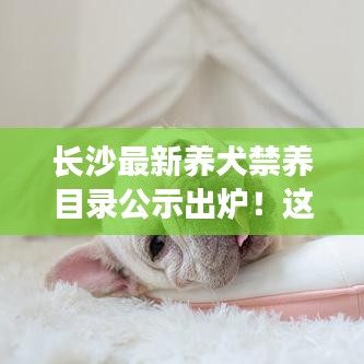 长沙最新养犬禁养目录公示出炉！这些犬种被禁止饲养