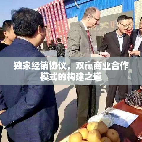 独家经销协议，双赢商业合作模式的构建之道