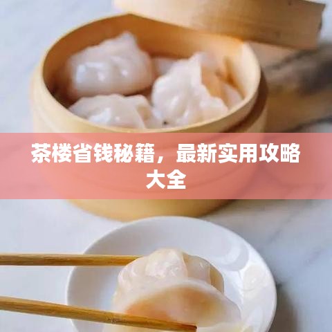 茶楼省钱秘籍，最新实用攻略大全