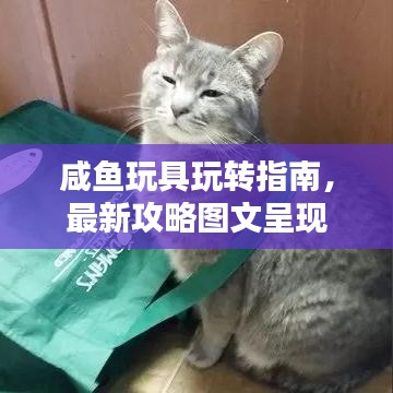 咸鱼玩具玩转指南，最新攻略图文呈现