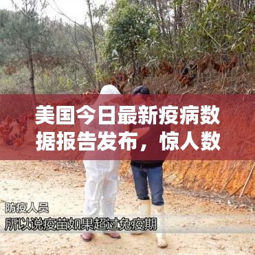 美国今日最新疫病数据报告发布,惊人数字揭示疫情现状!