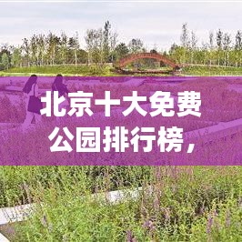 北京十大免费公园排行榜,城市绿肺,休闲好去处